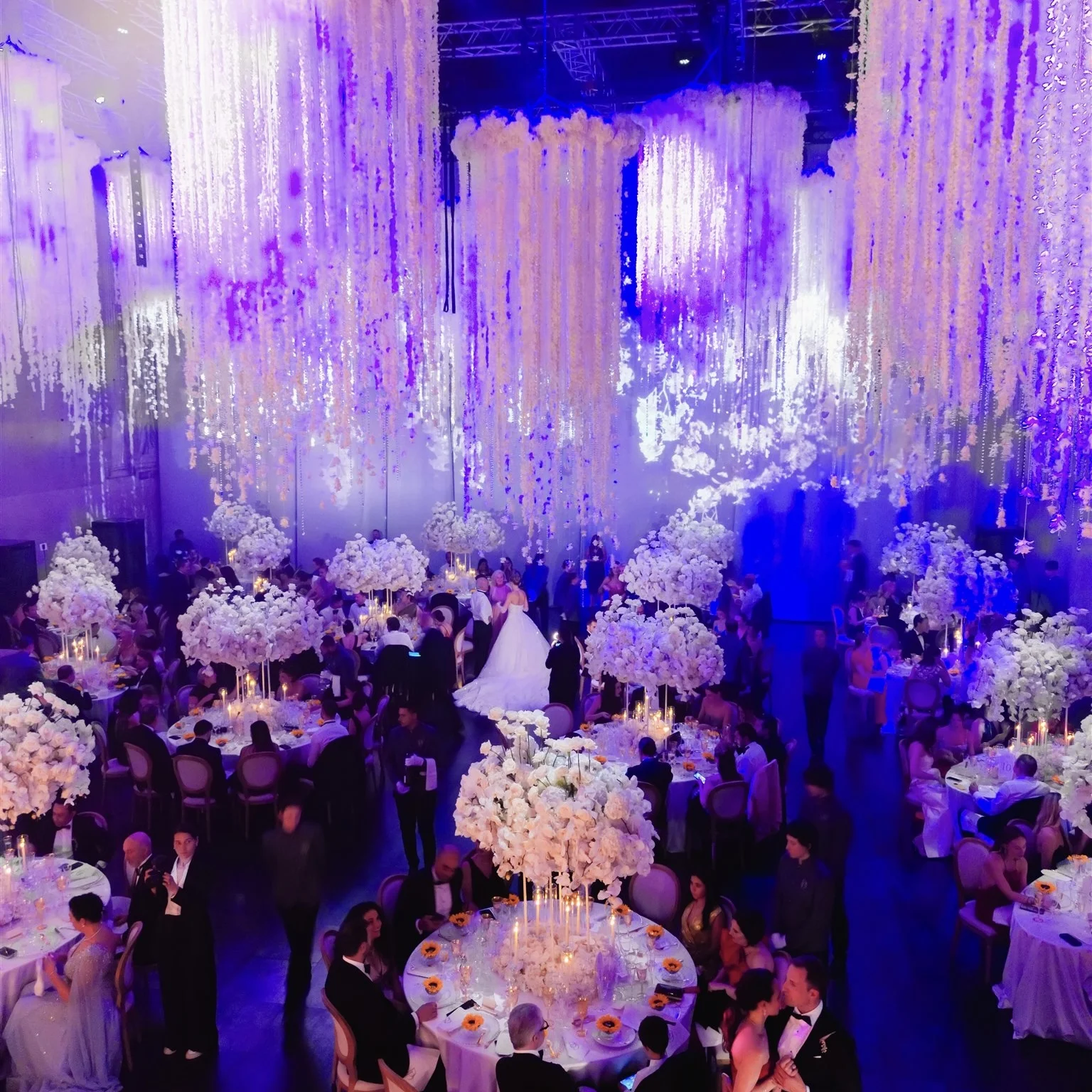 D&D_WeddingHighlight