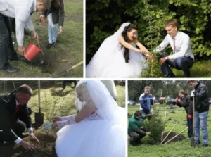 Deutsche Hochzeitstraditionen - Pflanzen