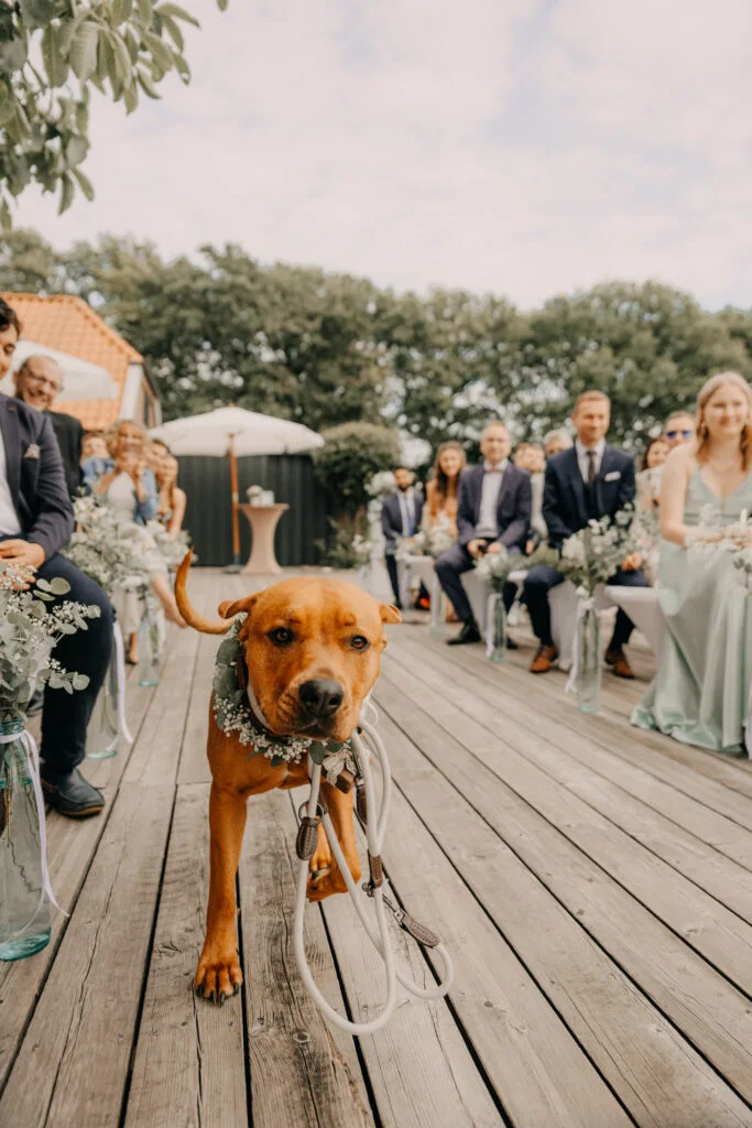 Wie plant man eine Hochzeit?